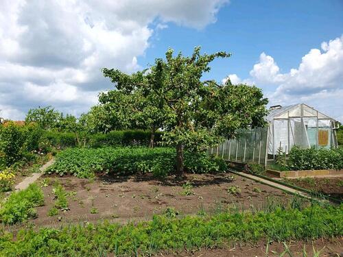 Foto - Grundst&uuml;ck zur Miete in Schwerin