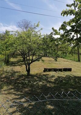 Foto - Obstbaumwiese Wiese Grundstück zu verpachten