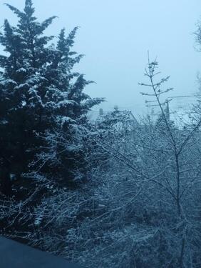 Foto - grundstück zu vermieten - 60,00&nbsp;EUR Kaltmiete, ca.&nbsp; 300,00&nbsp;m&sup2;