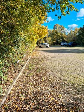Foto - andere zur Miete in Quedlinburg