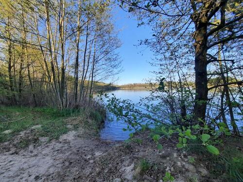 Foto - andere in Falkenberg/Elster zur Miete