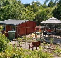 Schöner SchrebergartenPachtgarten abzugeben - Molfsee