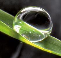 Vermietung auf Zeit . (weibliche Person erwünscht) - Kaltenkirchen