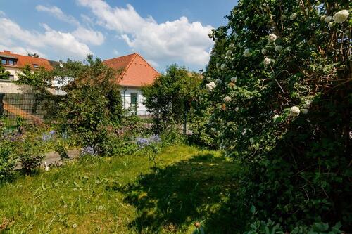 Foto - Mehrfamilienhaus, Wohnhaus in Dessau-Roßlau zum Kaufen