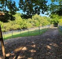 Von Privat: Pferdestall mit Trail und Weiden - Mühlhausen