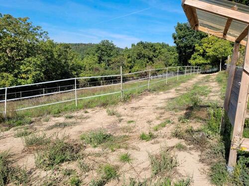 Foto - Grundstück zur Miete in Mühlhausen