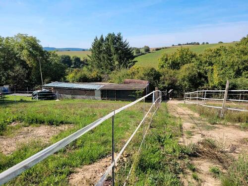 Foto - Grundstück in Mühlhausen
