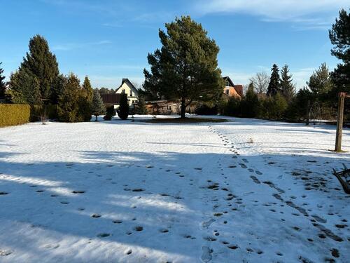 Foto - 9 Zimmer Einfamilienhaus zum Kaufen in Jessen (Elster)