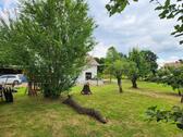 Foto - Einfamilienhaus in Lehre