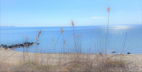 Foto - Wohnung, 55 qm, ab 01. Mai 2026