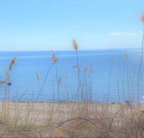 Wohnung, 55 qm, ab 01. Mai 2026 - Neustadt in Holstein