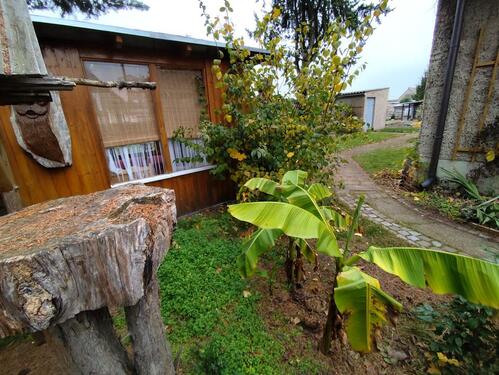 Foto - 4 Zimmer Einfamilienhaus in Beilrode