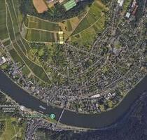 Wingert in Traben (Vorderuntels) zu verpachten - Traben-Trarbach