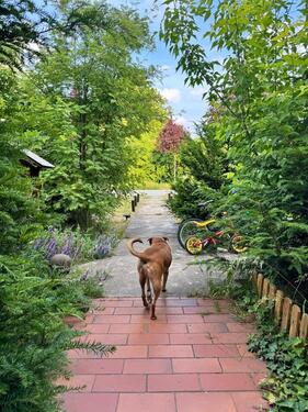 Foto - Sanierter Wohlfühlhof: Brunnen, Wilkräuter und Weintrauben
