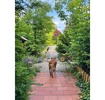 Sanierter Wohlfühlhof: Brunnen, Wilkräuter und Weintrauben - Letschin