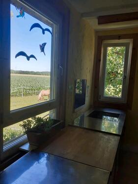 Foto - andere zur Miete in Alpirsbach