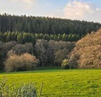 Wiese in RoetgenRott zu verpachten. Ideal für Pferde, Mähwiese..