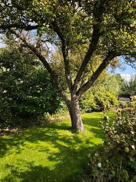 Foto - Garten abzugeben - 1.400,00&nbsp;EUR Kaltmiete, ca.&nbsp; 0,00&nbsp;m&sup2;