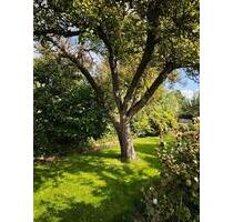 Garten abzugeben - 1.400,00&nbsp;EUR Kaltmiete, ca.&nbsp; 0,00&nbsp;m&sup2; in Grabow (PLZ: 19300)