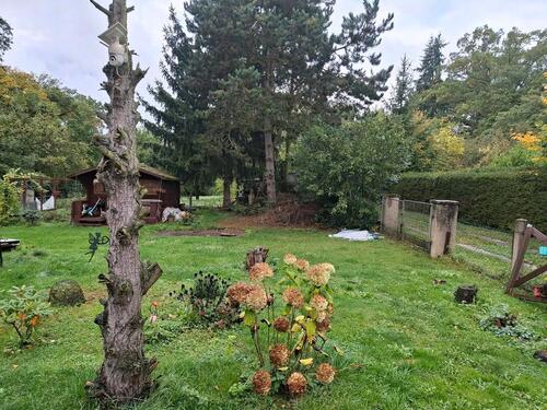 Foto - Einfamilienhaus in Groitzsch zum Kaufen