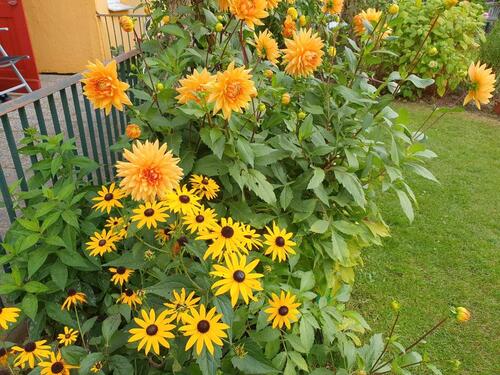 Foto - Grundst&uuml;ck zur Miete in Neustrelitz