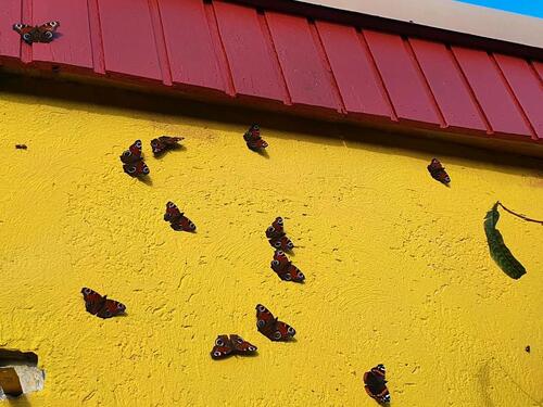 Foto - Grundst&uuml;ck in Neustrelitz zur Miete