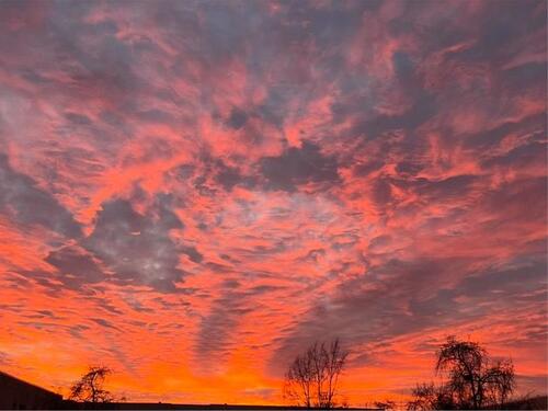 Foto - Etagenwohnung zur Miete in Berlin