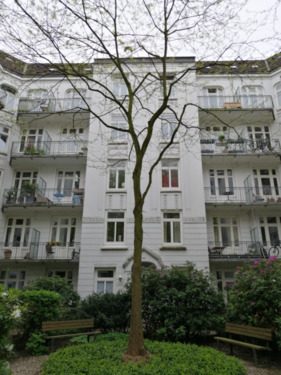 Foto - 3 Zimmer Etagenwohnung zum Kaufen in Ahrensburg