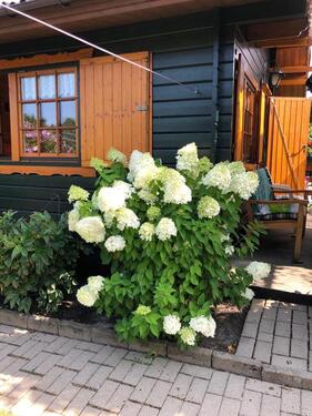 Foto - Grundst&uuml;ck in Rostock zur Miete