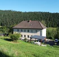 3 Raumwohnung in landsch. schöner, ruhiger u. kinderfr. Lage - Probstzella