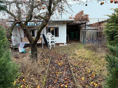 Foto - Grundst&uuml;ck zur Miete in Bernburg (Saale)