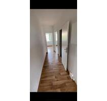 Schöne 2,5 Raum Wohnung in guter Lage - Nordhausen