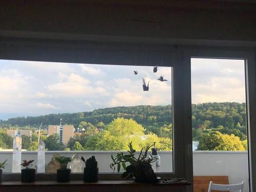 Foto - Etagenwohnung in Münster zur Miete