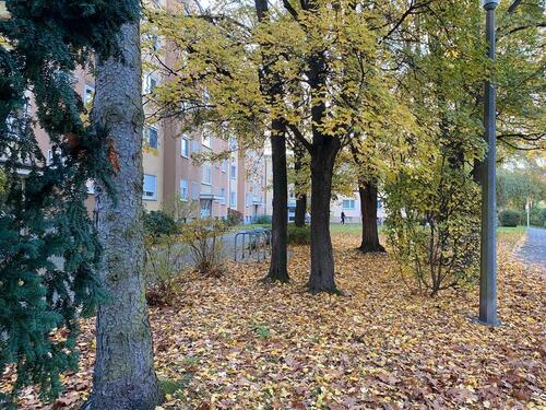 Foto - Nürnberg 90480.1 Zimmer Wohnung 31.Ab Sofort.Oder ab 022026