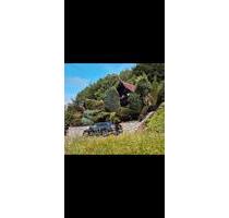 ☀️ Wohnen wie im Urlaub ☀️ - 249.000,00 EUR Kaufpreis, in Reichelsheim (Odenwald) (PLZ: 64385)