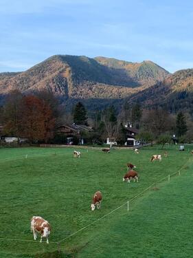 Foto - 4 Zimmer Etagenwohnung zum Kaufen in Rottach-Egern