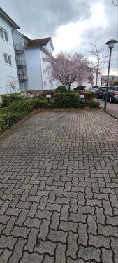 Foto - Parkplatz , Stellplatz , Außenstellplatz zu vermieten
