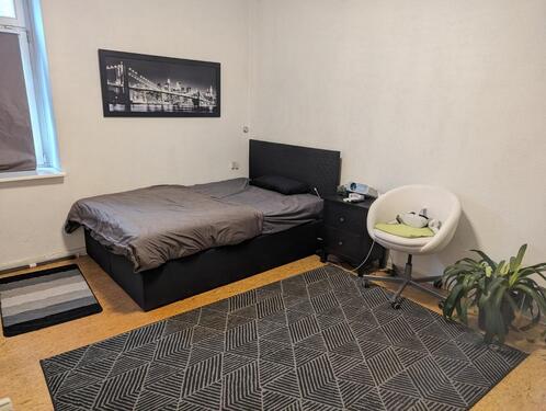 Foto - [Nur 1. Monat] Gemütliches 1-Zimmer-Appartment in Altstädter Str.