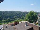 Foto - Helle & gemütliche 2-Zi.-Whg. in Altensteig, Hausmeister, Balkon