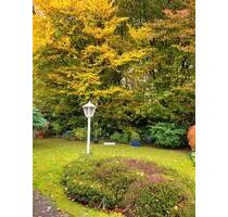 Souterrainwohnung an ruhige Rentnerin!!! - Wesel