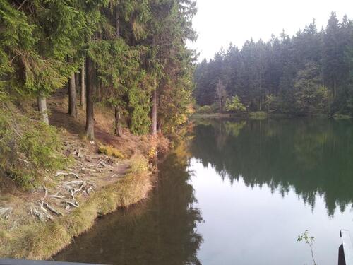 Foto - 2 Zimmer Etagenwohnung in Goslar