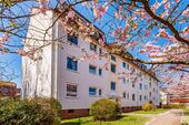 Foto - Modernisierte 2,5 Zimmerwohnung in Buchholz - Wentzel Dr.!