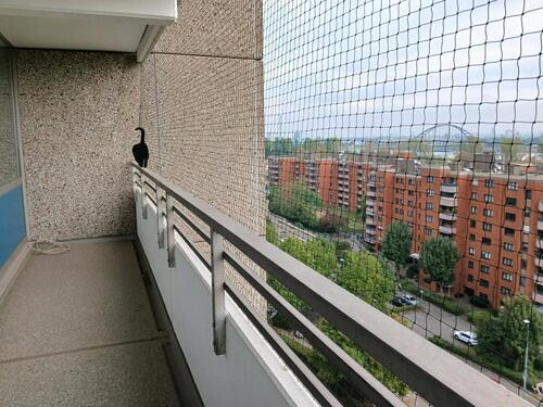 Foto - 4 Zimmer Etagenwohnung zum Kaufen in Neuss