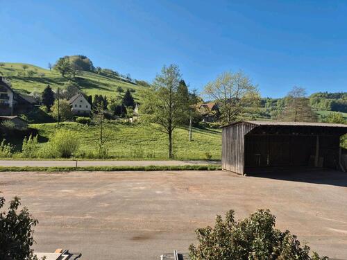 Foto - andere in Freiamt