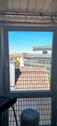 Foto - Maisonette Wohnung mit 5,5 Zimmern - Penthouse Flair in MKG