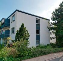 Frisch renovierte 3-Zimmer-Erdgeschosswohnung! - Osnabrück Dodesheide Frisch renovierte 3-Zimmer-Erdgeschosswohnung! - Osnabrück Dodesheide