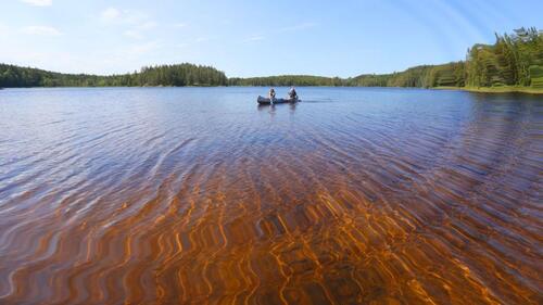 Foto - Ferienhaus mit Motorboot in Schweden