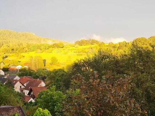 Foto - Mehrfamilienhaus, Wohnhaus zum Kaufen in Bruchweiler-Bärenbach