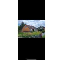 Einfamilienhaus mit 1260qm Grundstück, Privatverkauf - Wietze