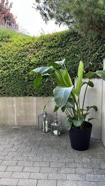 Foto - Etagenwohnung in Limeshain